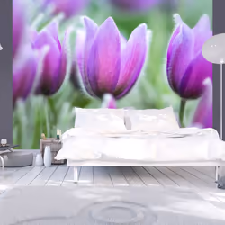 Planete Discount PD13593-200-154, Papier peint non tissé, Vert, Violet, Vert, Violet, 120 g/m², Tulipes violettes au printemp ...