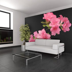 Planete Discount PD13595-350-270 papier-peint Papier peint non tissé Noir, Vert, Rose