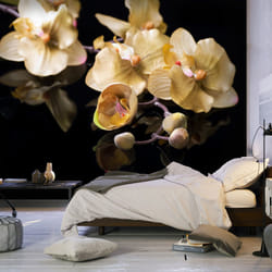 Papier peint intissé Fleurs Orchids in ecru color - PD13605-400-309