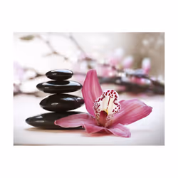 Papier peint intissé Orient Relaxation and Wellness - PD14269-400-309