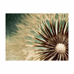 Papier peint intissé Fleurs Focus on dandelion - PD13606-400-309