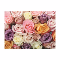 Papier peint intissé Fleurs Pastel roses - PD13607-400-309