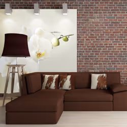 Planete Discount PD13608-300-231, Papier peint non tissé, Crème, Blanc, Blanc, Crème, 120 g/m², Orchidée blanche, 3000 mm