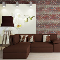 Planete Discount PD13608-350-270 papier-peint