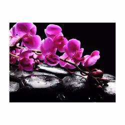 Papier peint intissé Fleurs Moment de détente : orchidée et pierres zen - PD13610-400-309
