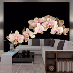 Planete Discount PD13614-400-309, Papier peint non tissé, Noir, Rose, Blanc, Blanc, Noir Et Blanc, Rose, 120 g/m², Orchidée e ...