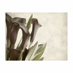 Planete Discount PD13615-200-154 papier-peint Papier peint non tissé Vert, Gris, Blanc