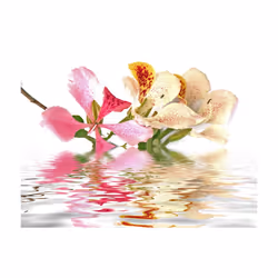 Planete Discount PD13620-300-231 papier-peint Papier peint non tissé Vert, Gris, Rose, Blanc