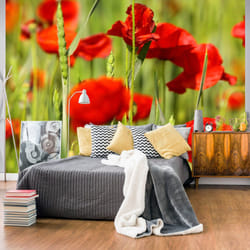 Planete Discount PD13623-300-231 papier-peint Papier peint non tissé Vert, Rouge