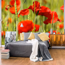 Planete Discount PD13623-400-309, Papier peint non tissé, Vert, Rouge, Vert, Rouge, 120 g/m², Coquelicots dans le champ de bl ...