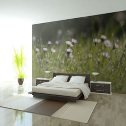 Papier peint intissé Fleurs Marguerites et la rosée du matin - PD13624-400-309