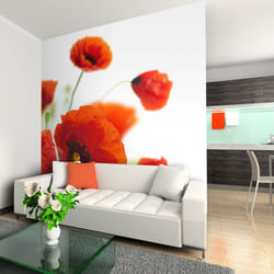 Papier peint intissé Fleurs Poppies on the wihite background - PD13625-400-309