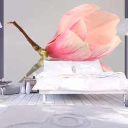 Planete Discount PD13627-350-270, Papier peint non tissé, Crème, Rose, Blanc, Blanc, Crème, Rose, 120 g/m², Fleur de magnolia ...
