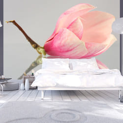 Planete Discount PD13627-350-270 papier-peint Papier peint non tissé Crème, Rose, Blanc