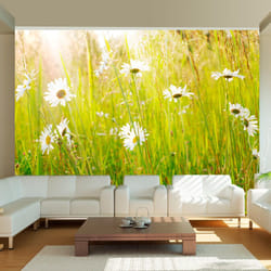 Papier peint intissé Fleurs Champ de marguerites - PD13630-400-309