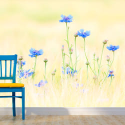 Papier peint intissé Fleurs Bleuets - PD13632-400-309