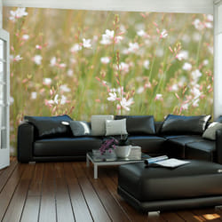 Papier peint intissé Fleurs Petites fleurs blanches - PD13639-400-309
