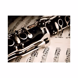 Papier peint intissé Hobby Clarinette et notes de musique - PD14168-400-309