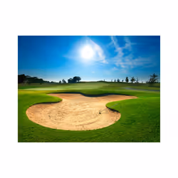 Papier peint intissé Hobby Terrain de golf - PD14175-400-309