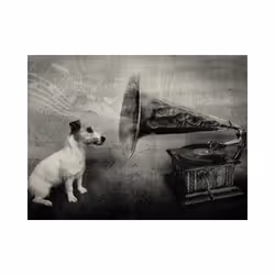 Papier peint intissé Animaux Dog's melodies - PD13288-400-309
