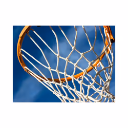Papier peint intissé Hobby sport - basketball - PD14183-400-309
