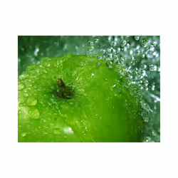Planete Discount PD14212-250-193 papier-peint Papier peint non tissé Bleu, Vert