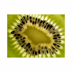 Papier peint intissé Motifs de cuisine fruits: kiwi - PD14221-400-309
