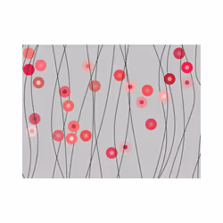 Planete Discount PD13172-350-270 papier-peint