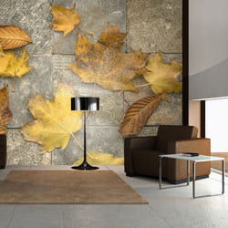 Papier peint intissé Paysages Signes avant-coureurs de l'automne - PD14480-400-309