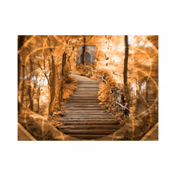 Papier peint intissé Fantaisie Stairs to paradise - PD13434-400-309