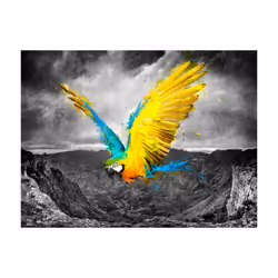 Papier peint intissé Animaux Exotic parrot - PD13305-400-309
