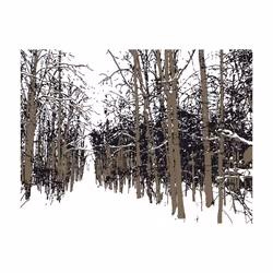 Papier peint intissé Paysages arbres - automne - PD14482-400-309