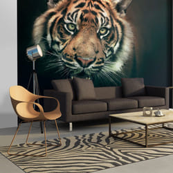 Papier peint intissé Animaux Tigre du Bengale - PD13310-400-309