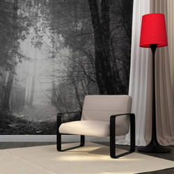 Papier peint intissé Paysages Forest of shadows - PD14486-400-309
