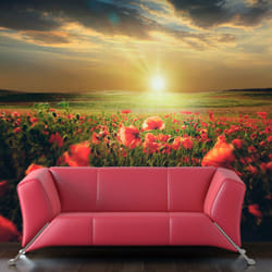 Papier peint intissé Fleurs Morning on the poppy meadow - PD13641-400-309