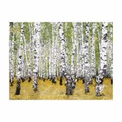 Papier peint intissé Paysages In birch grove... - PD14489-400-309