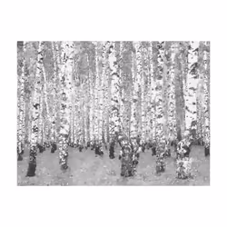 Papier peint intissé Paysages Birch seclusion - PD14490-400-309