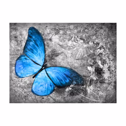 Papier peint intissé Animaux Blue butterfly - PD13312-400-309