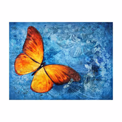 Planete Discount PD13313-250-193 papier-peint Papier peint non tissé Bleu, Jaune