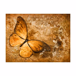Planete Discount PD13314-350-270 papier-peint Papier peint non tissé Beige, Noir