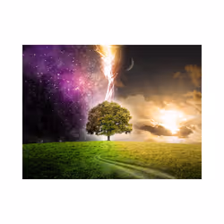 Papier peint intissé Fantaisie Magic tree - PD13440-400-309