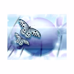 Papier peint intissé Animaux Planet of butterflies - PD13318-400-309