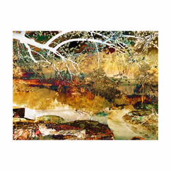 Papier peint intissé Abstractions River of life - PD13188-400-309