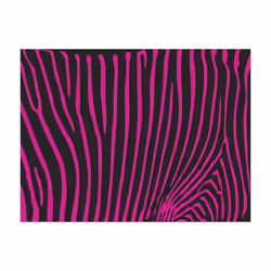 Papier peint intissé Fonds et Dessins Zebra pattern (violet) - PD14015-400-309