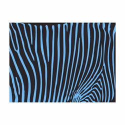 Papier peint intissé Fonds et Dessins Zebra pattern (turquoise) - PD14016-400-309