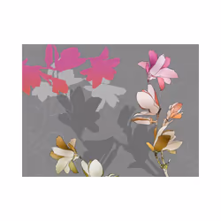 Papier peint intissé Fonds et Dessins Magnolias en pastels - PD14032-400-309