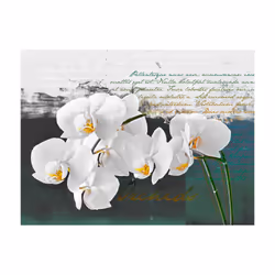 Planete Discount PD13644-200-154 papier-peint Papier peint non tissé Turquoise, Blanc