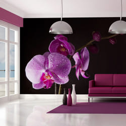 Papier peint intissé Fleurs de bon goût orchidée - PD13646-400-309