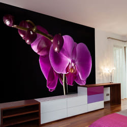 Papier peint intissé Fleurs élégant orchidée - PD13647-400-309