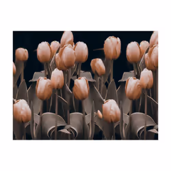 Planete Discount PD13649-250-193 papier-peint Papier peint non tissé Noir, Gris, Rose